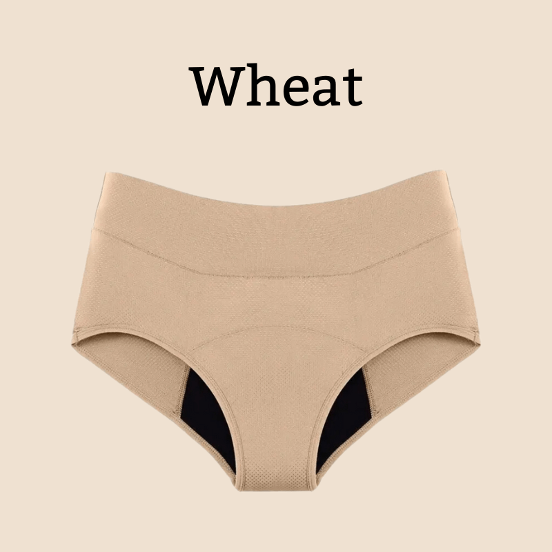 Comfy Jane-High Waist Full Brief Bundle